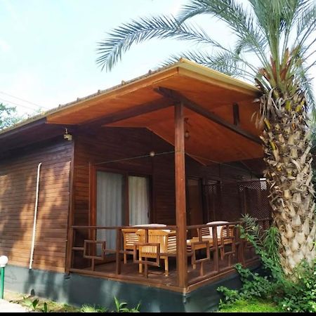 Olympos Yavuz Hotel Cirali Exterior photo