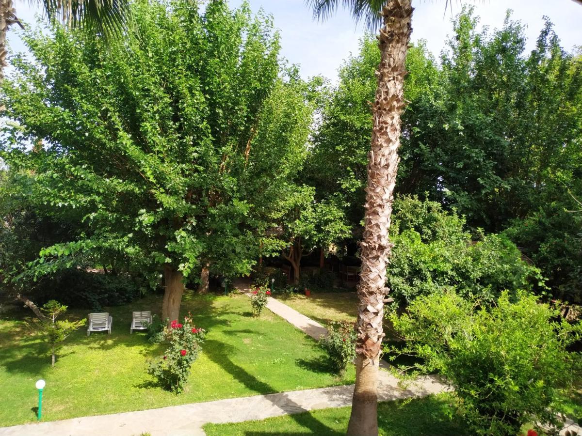 Olympos Yavuz Hotel Cirali Exterior photo